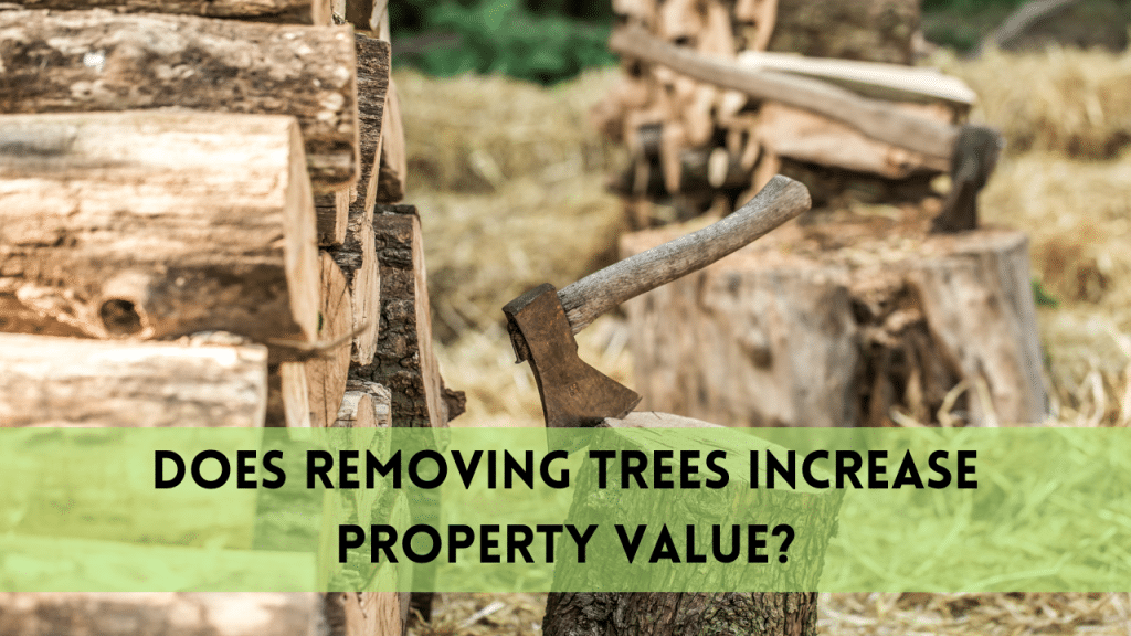 Does removing trees Increase Property Value | Ultimate Guide